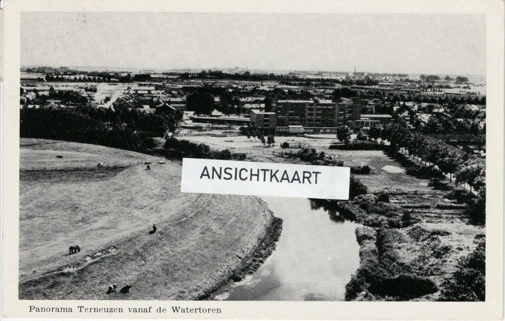 Ansichtkaart Terneuzen - Panorama vanaf de Watertoren 1961, Ophalen of Verzenden, 1960 tot 1980, Gelopen, Zeeland