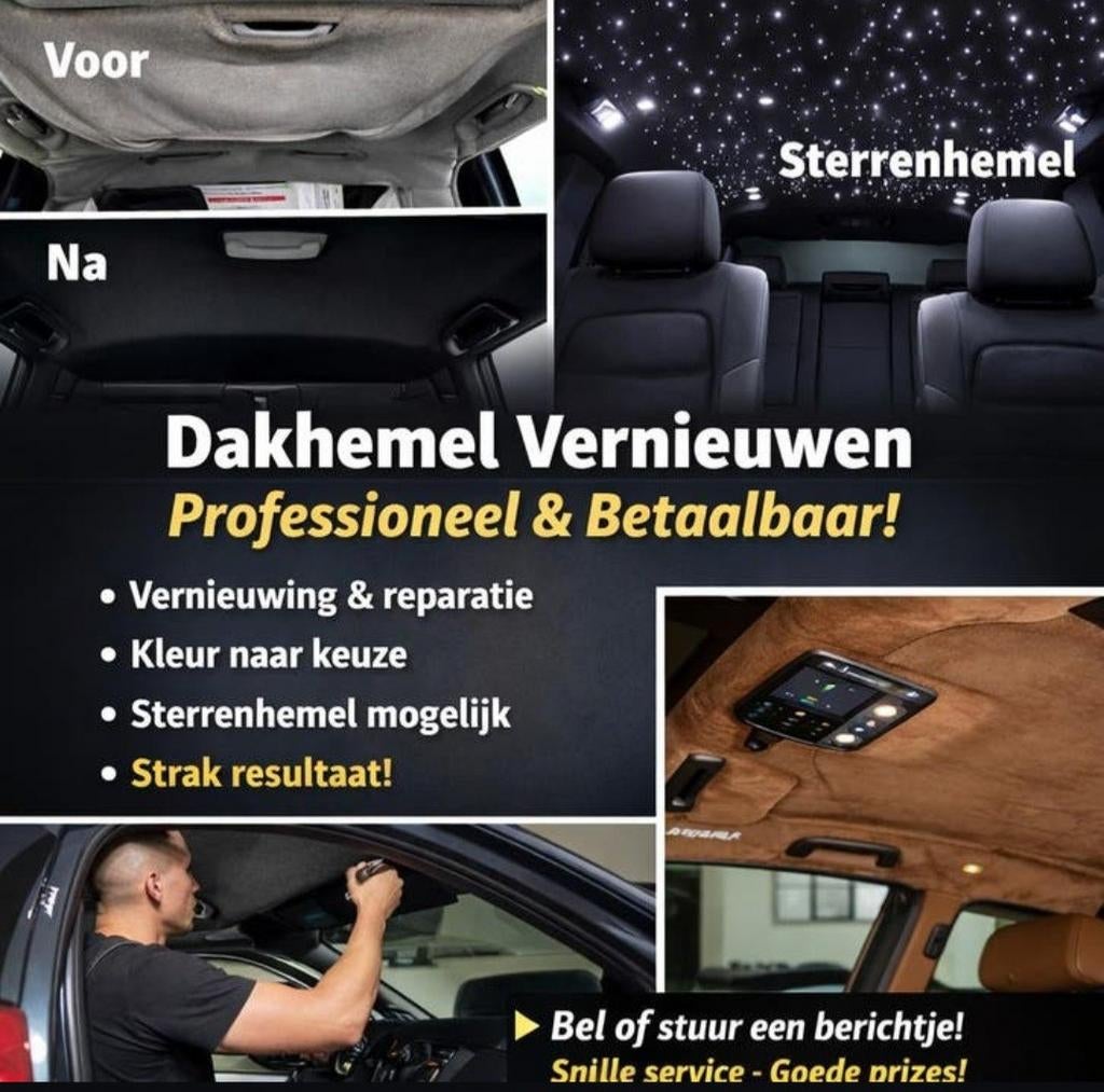 Dakhemel vernieuwen – Professioneel & Betaalbaar, Ophalen of Verzenden, Nieuw