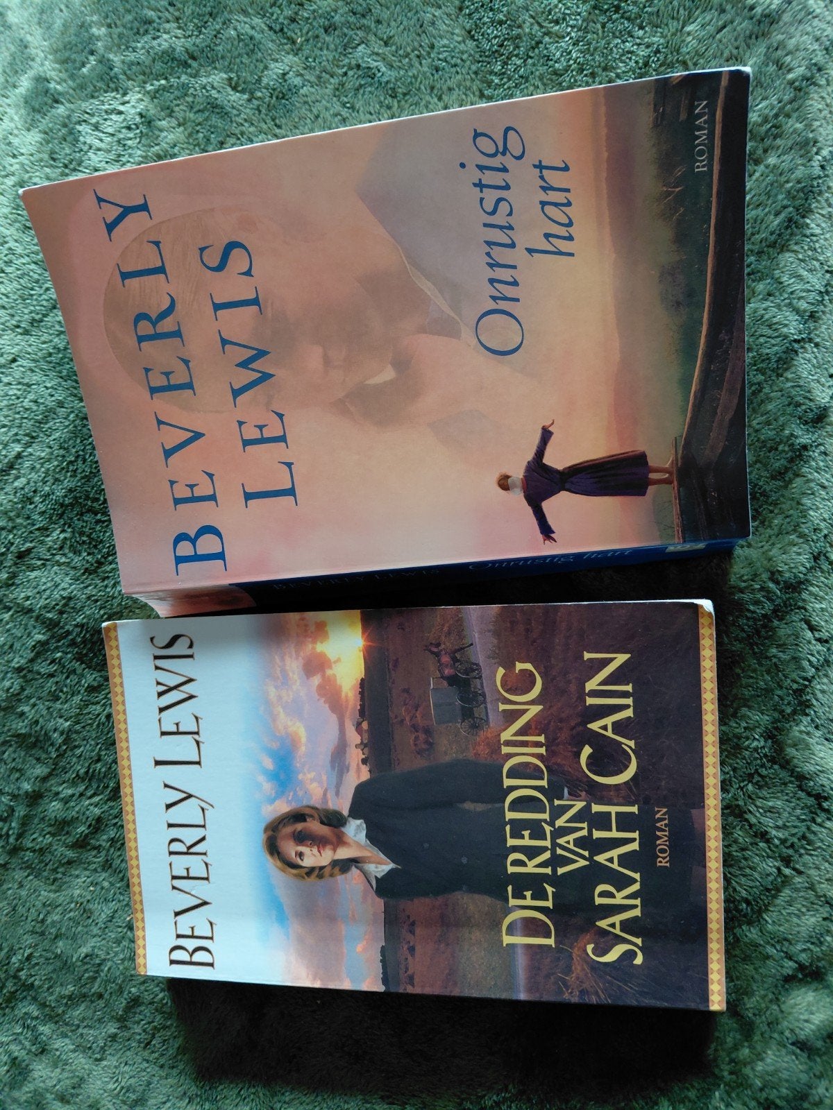 amish boeken, Boeken, Romans, Ophalen, Gelezen, Beverly Lewis