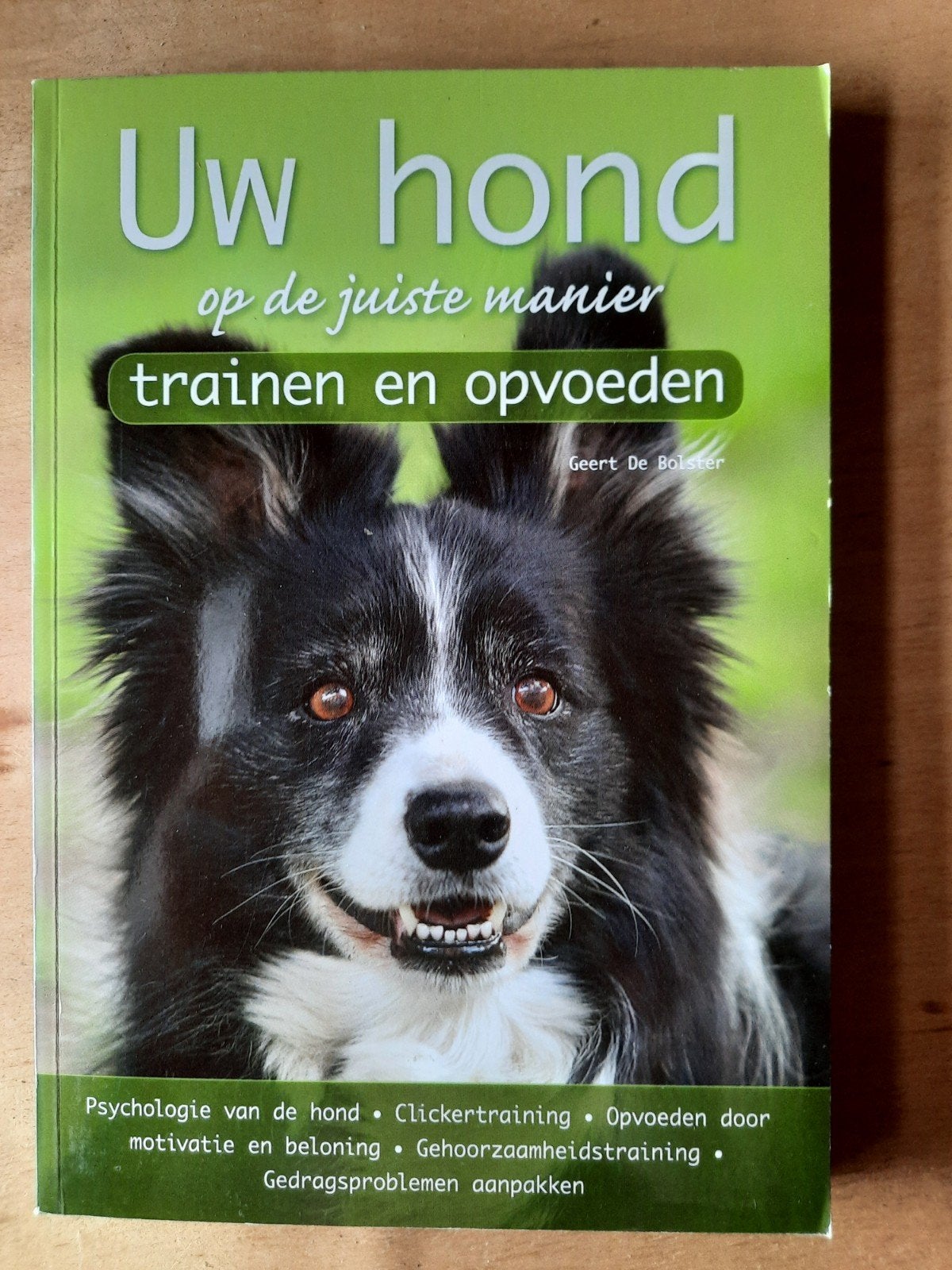Uw hond op de juiste manier trainen en opvoeden, Ophalen of Verzenden, Zo goed als nieuw, Honden, Geert De Bolster