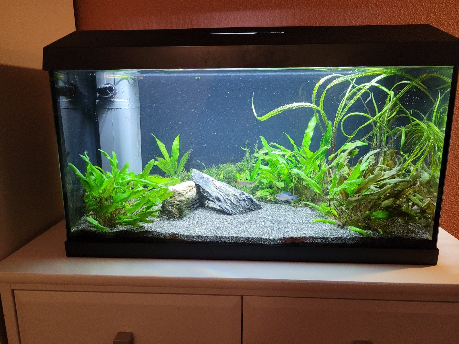 juwel primo 60 led, Ophalen, Zo goed als nieuw, Leeg aquarium, Juwel