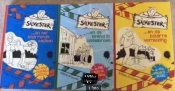 3-delige reeks Silvester door Willeke Brouwer, Ophalen of Verzenden, Zo goed als nieuw, Fictie algemeen