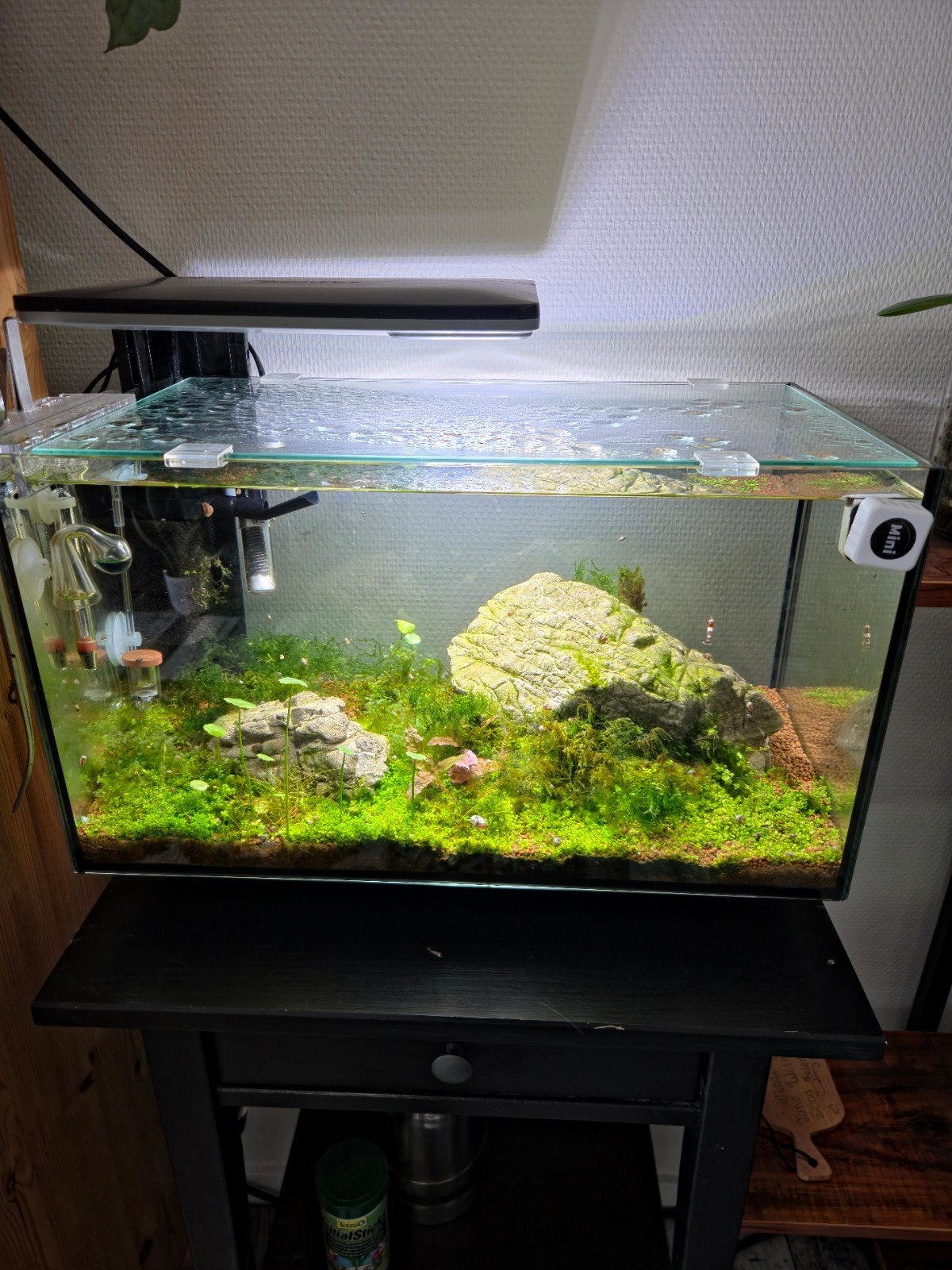 Superfish aquarium, Ophalen, Zo goed als nieuw, Leeg aquarium