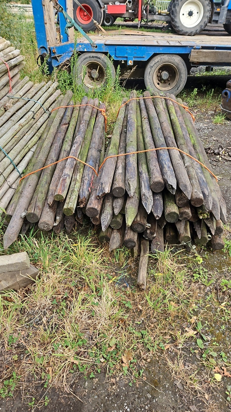 Gecreosorteerde palen dik 2,5 en 3 m lengte, Ophalen, Gebruikt, 250 cm of meer, Palen