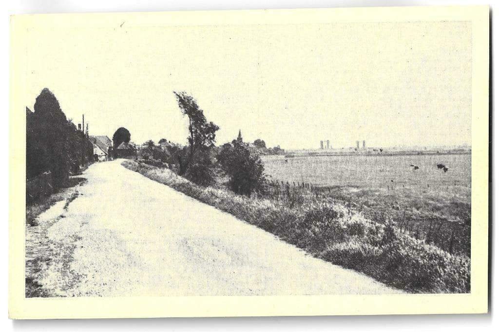 AK Rossum - Gezicht op Maasdijk, Ophalen of Verzenden, 1940 tot 1960, Ongelopen, Gelderland