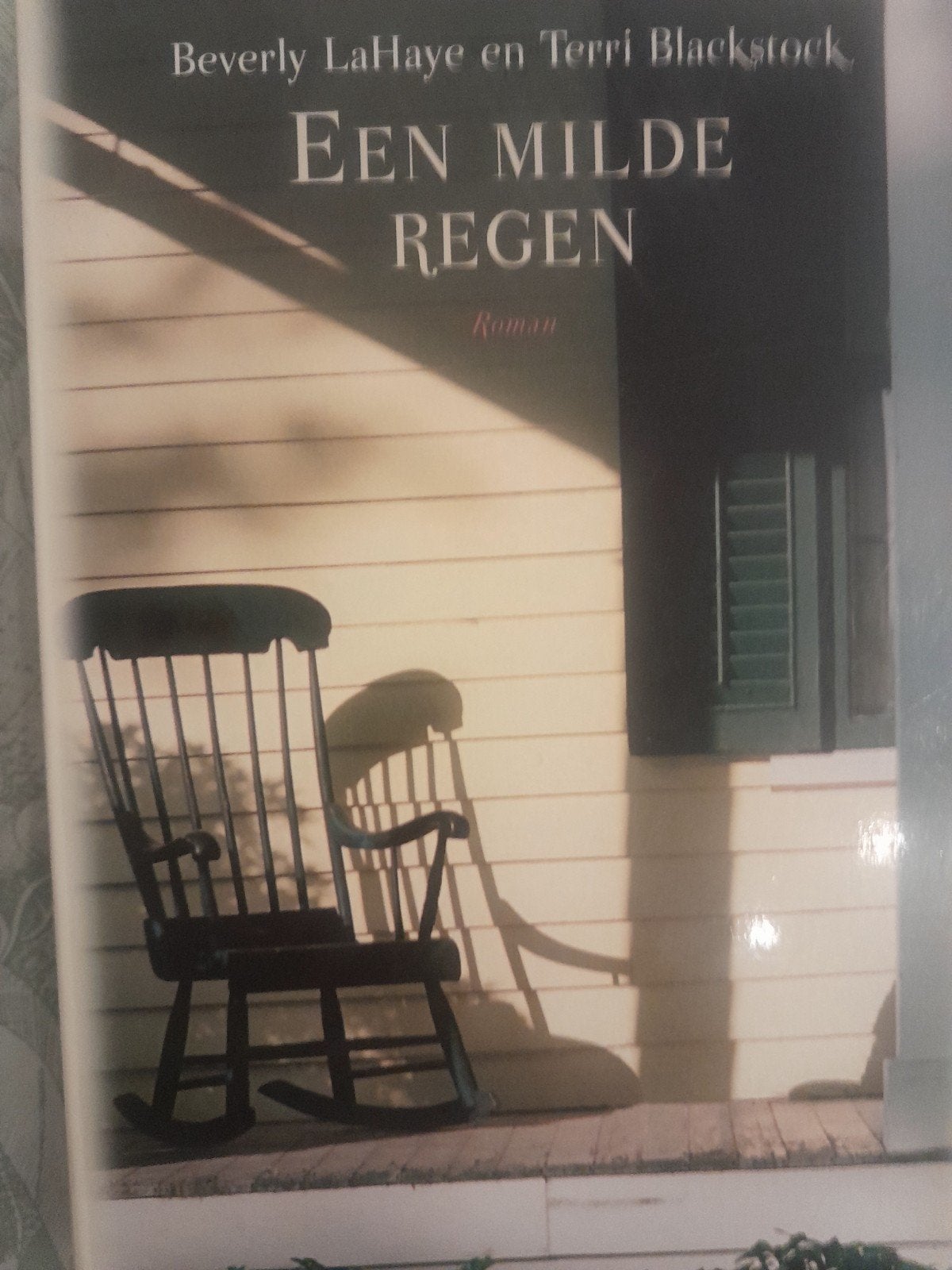 B. LaHaye - Een milde regen, Ophalen of Verzenden, Zo goed als nieuw, B. LaHaye; T. Blackstock