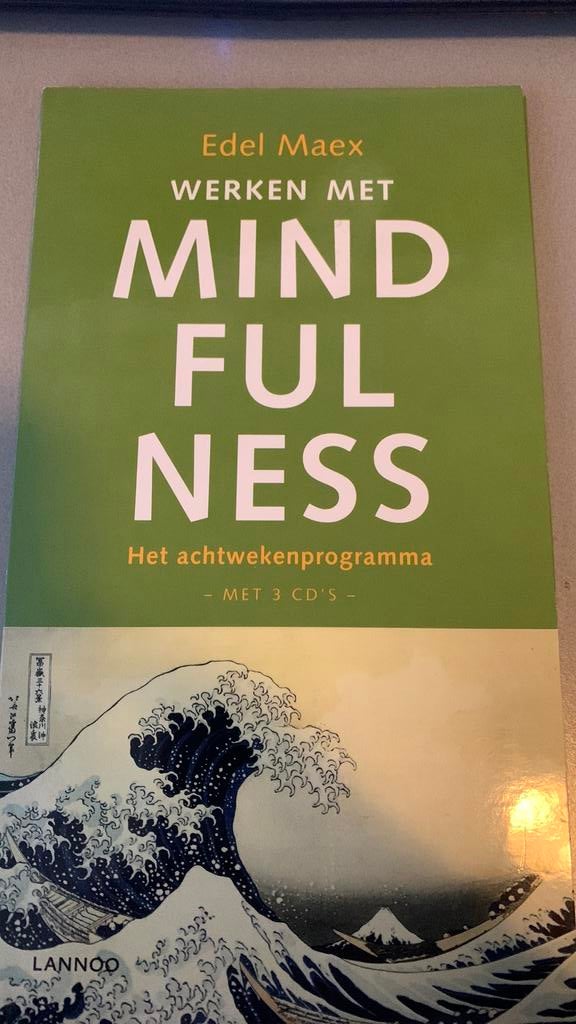Werken met Mindfulness, Ophalen of Verzenden