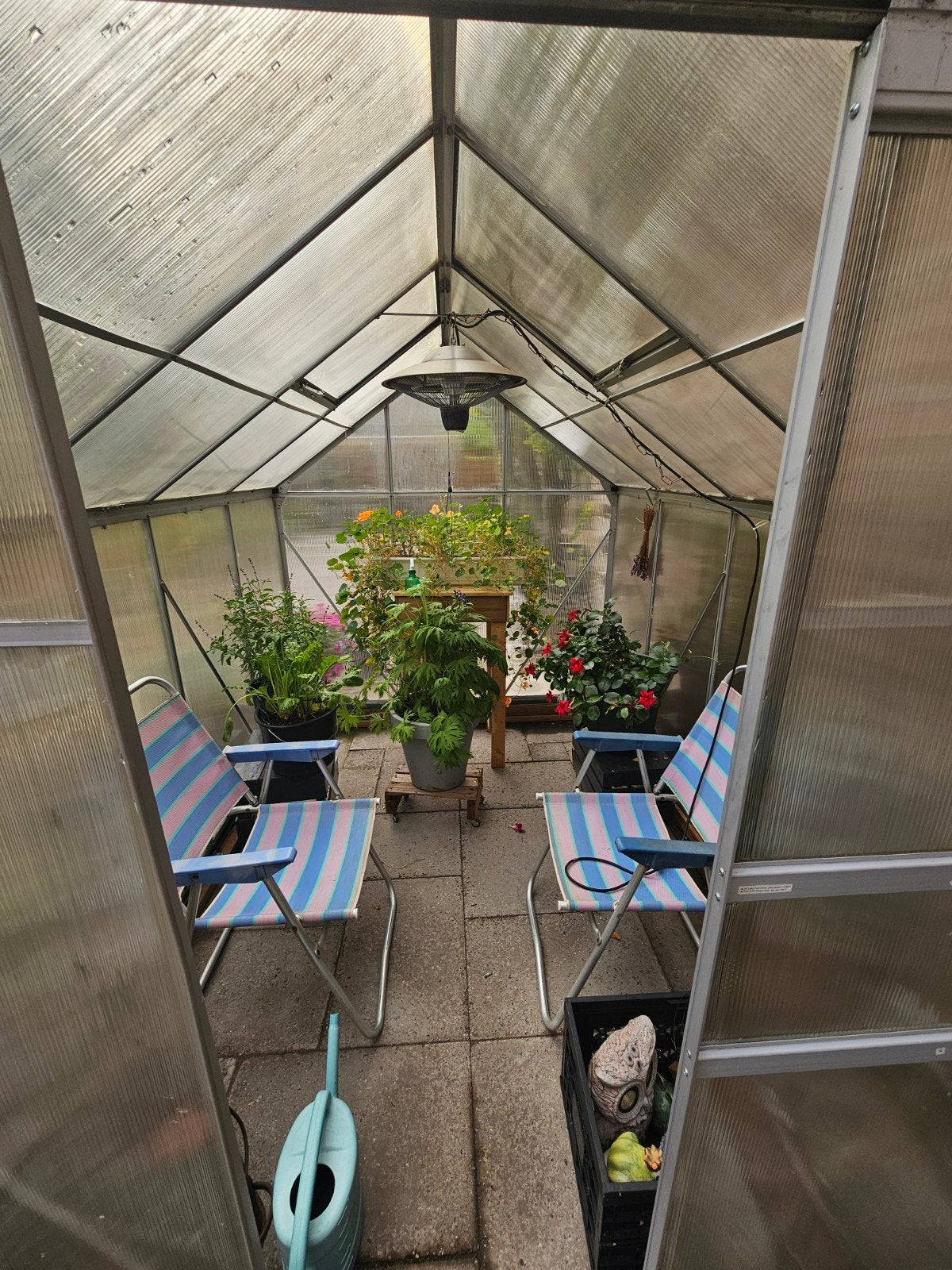 Te koop Kas 2500x2000, Ophalen, Kweekkas, Aluminium, Polycarbonaat
