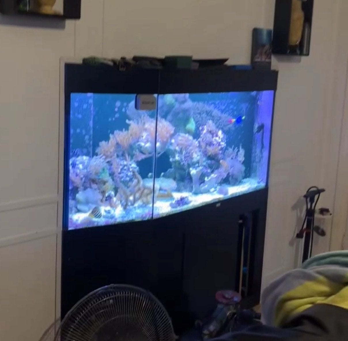 Zoutwater aquarium, Ophalen, Zo goed als nieuw