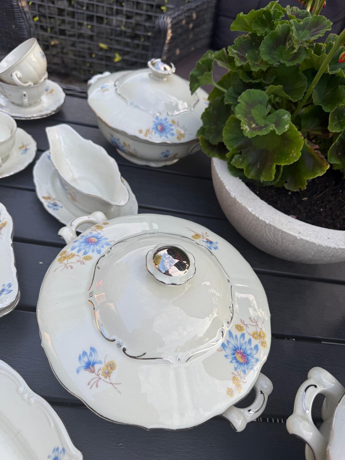 Porseleinen servies, Ophalen of Verzenden