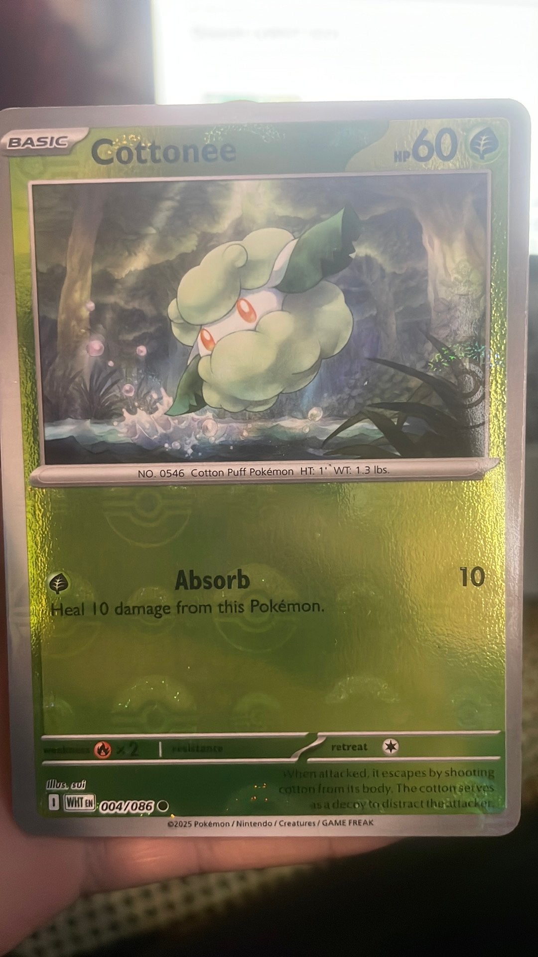 Pokemon kaarten - 2 pokeball en 1 masterbal, Verzenden, Nieuw, Meerdere kaarten, Foil