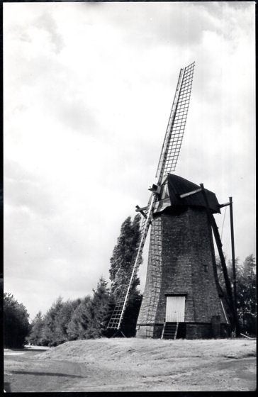 (BG127) Ansichtkaart België molen Arendonk Toreman 1987, Verzamelen, Ansichtkaarten | België, Ophalen of Verzenden, 1980 tot heden