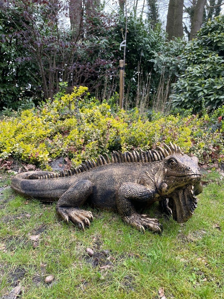 Leguaan, Goud, tuin, zwembad, vijver, salamander 100cm, Ophalen, Nieuw, Kunststof, Dierenbeeld