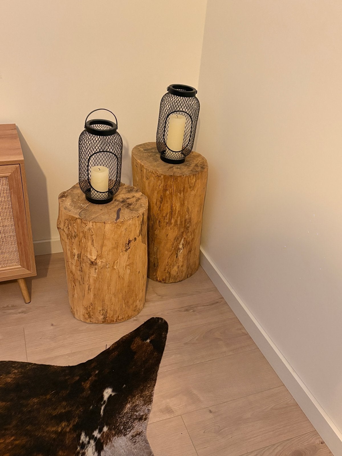 Decoratieve boomstammen voor huis en tuin, Gebruikt, Overige typen, Ophalen of Verzenden, 50 mm of meer