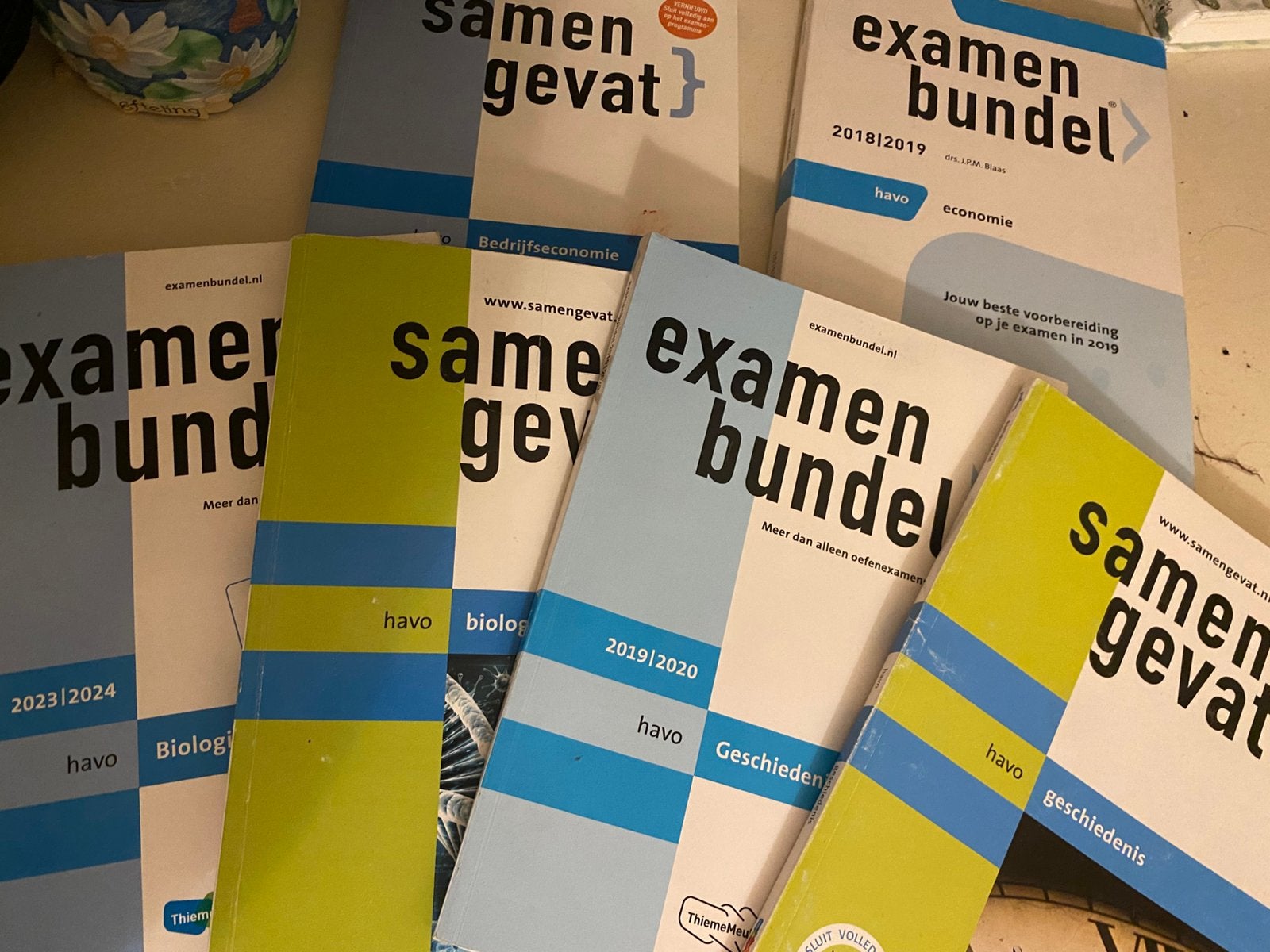 Examen samenvattingen & bundels havo, Boeken, Ophalen of Verzenden, Zo goed als nieuw, HAVO, Overige vakken