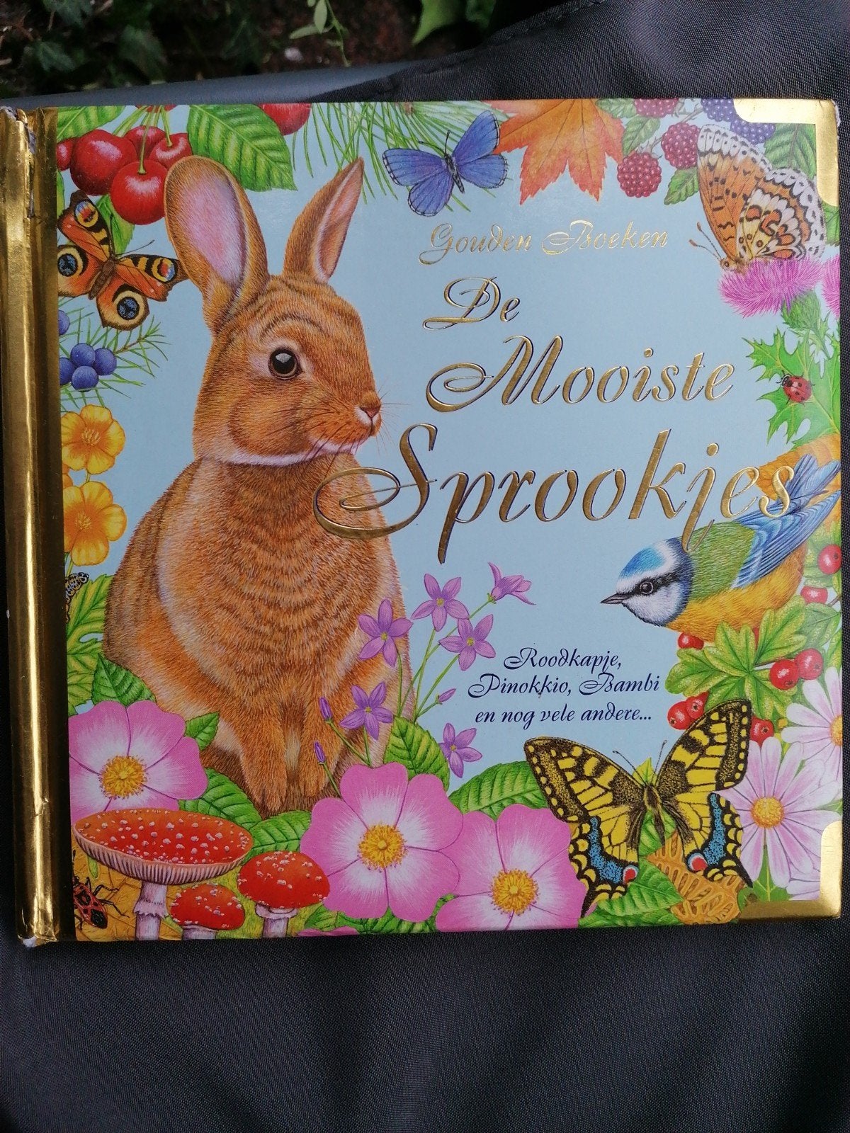 De Mooiste Sprookjes - Gouden Boeken, Ophalen of Verzenden, Gelezen, Onbekend