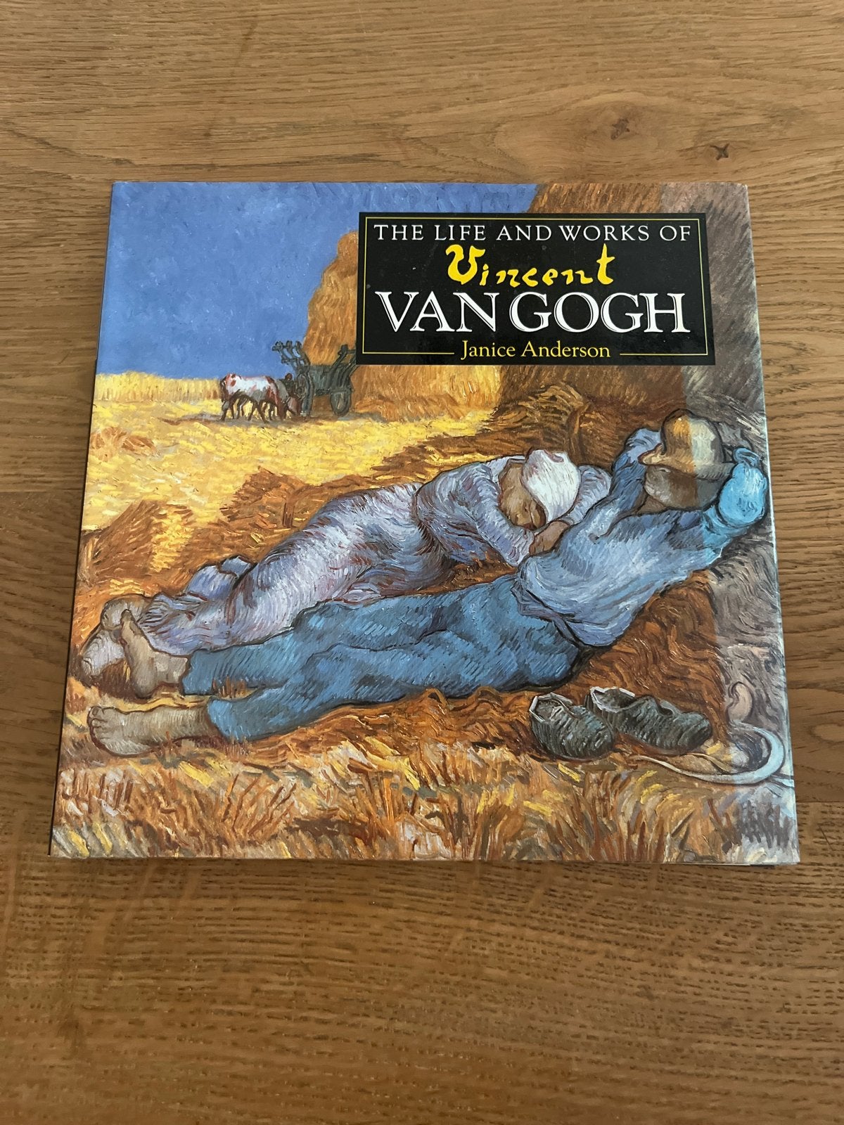 Het leven en werk van Vincent van Gogh - Janice Anderson, Ophalen, Zo goed als nieuw, Schilder- en Tekenkunst