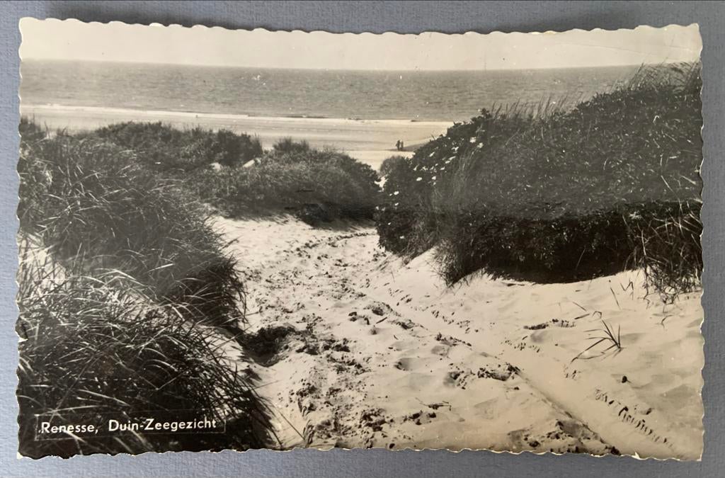 Renesse, Duin-Zeegezicht, Verzenden, 1940 tot 1960, Gelopen, Zeeland
