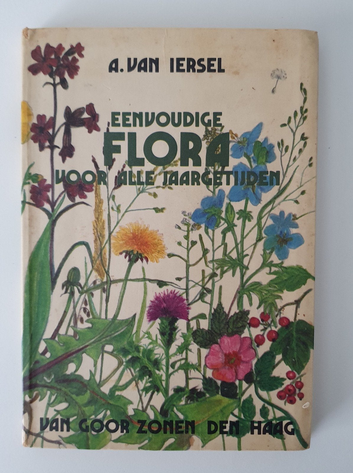 Eenvoudige flora voor alle jaargetijden Van Iersel boekje, Ophalen of Verzenden, Gelezen, Bloemen, Planten en Bomen