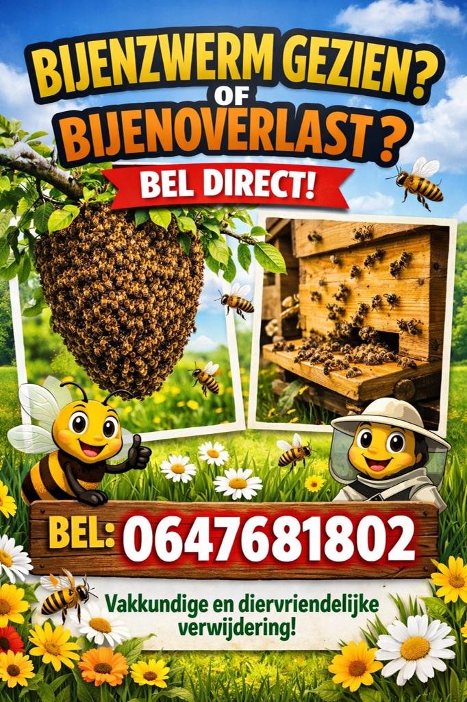 Bijen overlast, bijenzwerm? Bel voor snelle gratis hulp, Bijen