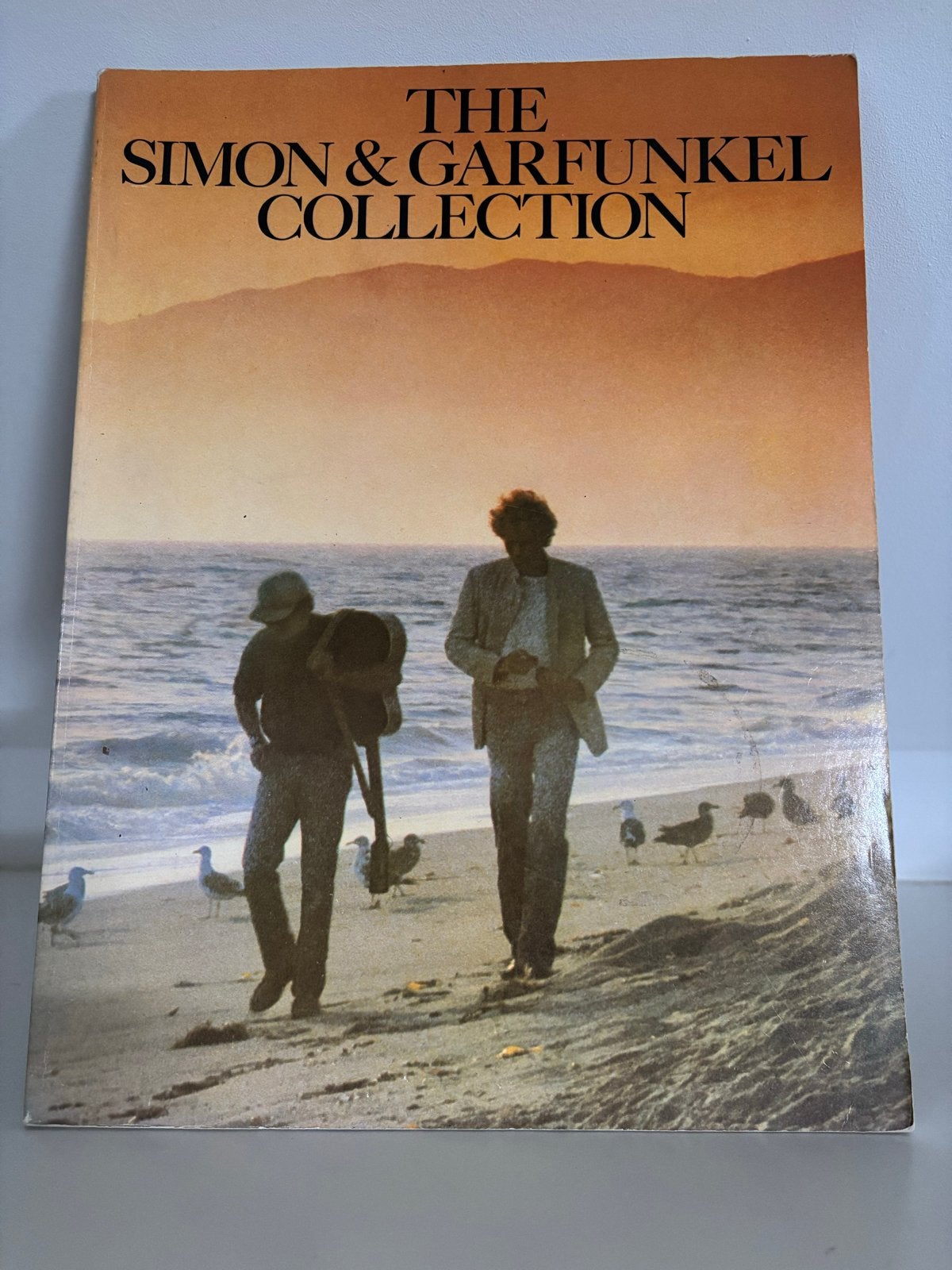 The Simon & Garfunkel Collection Songbook, Boeken, Ophalen of Verzenden, Gelezen, Artiest
