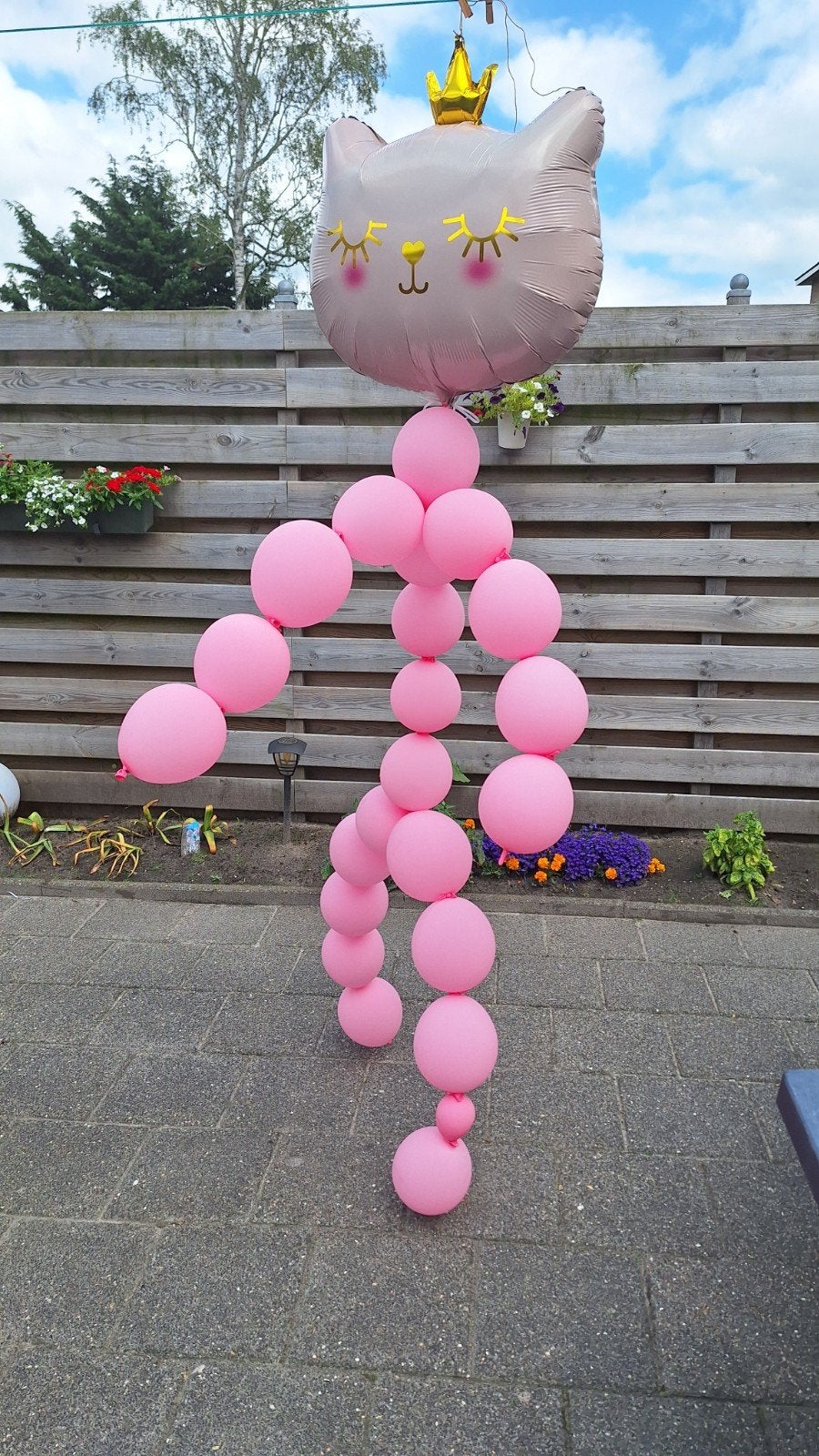 Gratis roze ballonnen met kattenkopje voor kinderfeestje, Ophalen, Nieuw, Versiering, Verjaardag