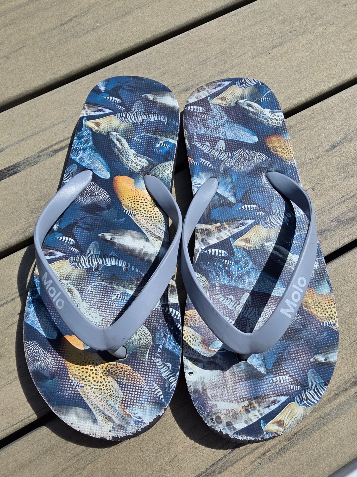 Molo Slippers met vissenprint, maat 32, Slippers, Blauw, Molo, Ophalen of Verzenden