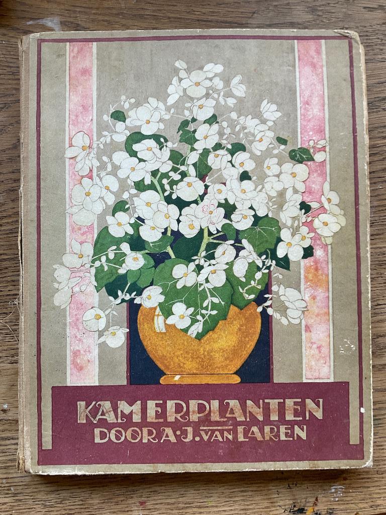 Kamerplanten door A. J. van Laren, Ophalen of Verzenden, A. J. van Laren