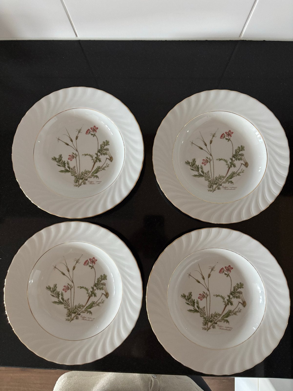 Set van 4 soepborden - Seltmann Weiden Bavaria W. Germany, Overige merken, Vintage, Ophalen of Verzenden, Zo goed als nieuw