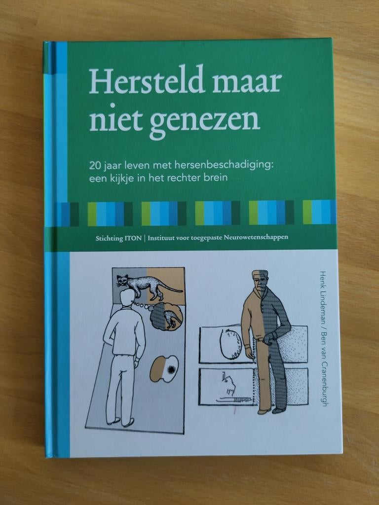 Hersteld maar niet genezen, stichting Iton, Ophalen of Verzenden, Zo goed als nieuw