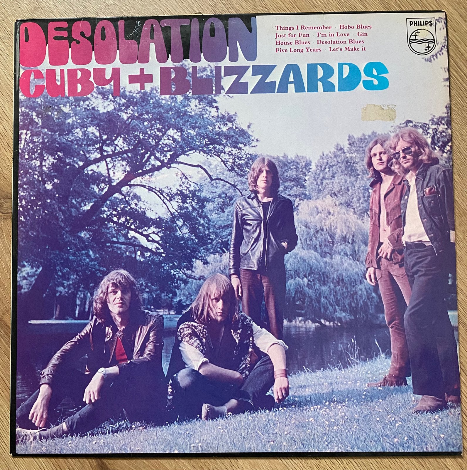 lp: Cuby & The Blizzards - Desolation, Cd's en Dvd's, Ophalen of Verzenden, Gebruikt