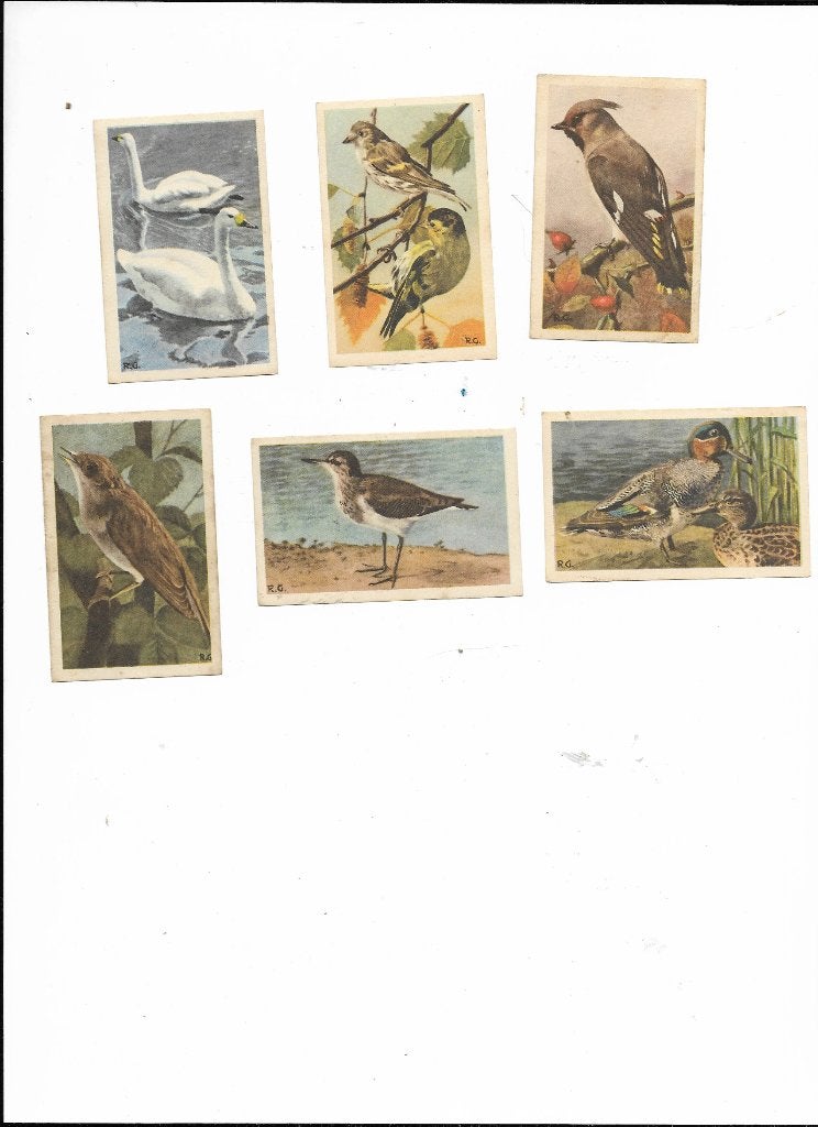 Kanis & Gunnink, Geslacht onbekend, Wildzangvogel