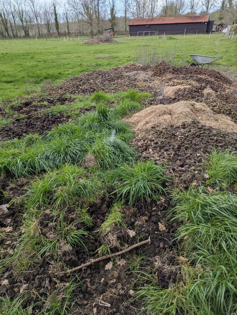 Paardenmest (biologisch) , grotendeels van vorig jaar., Ophalen