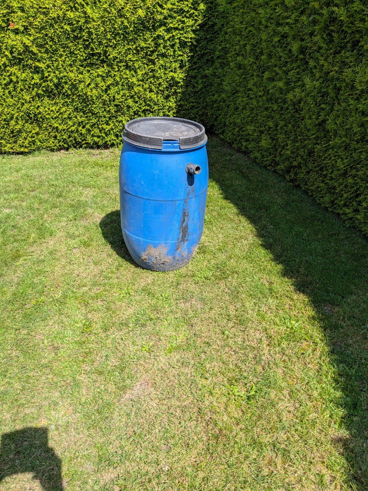 Regenton blauw, 150 liter of meer, Ophalen