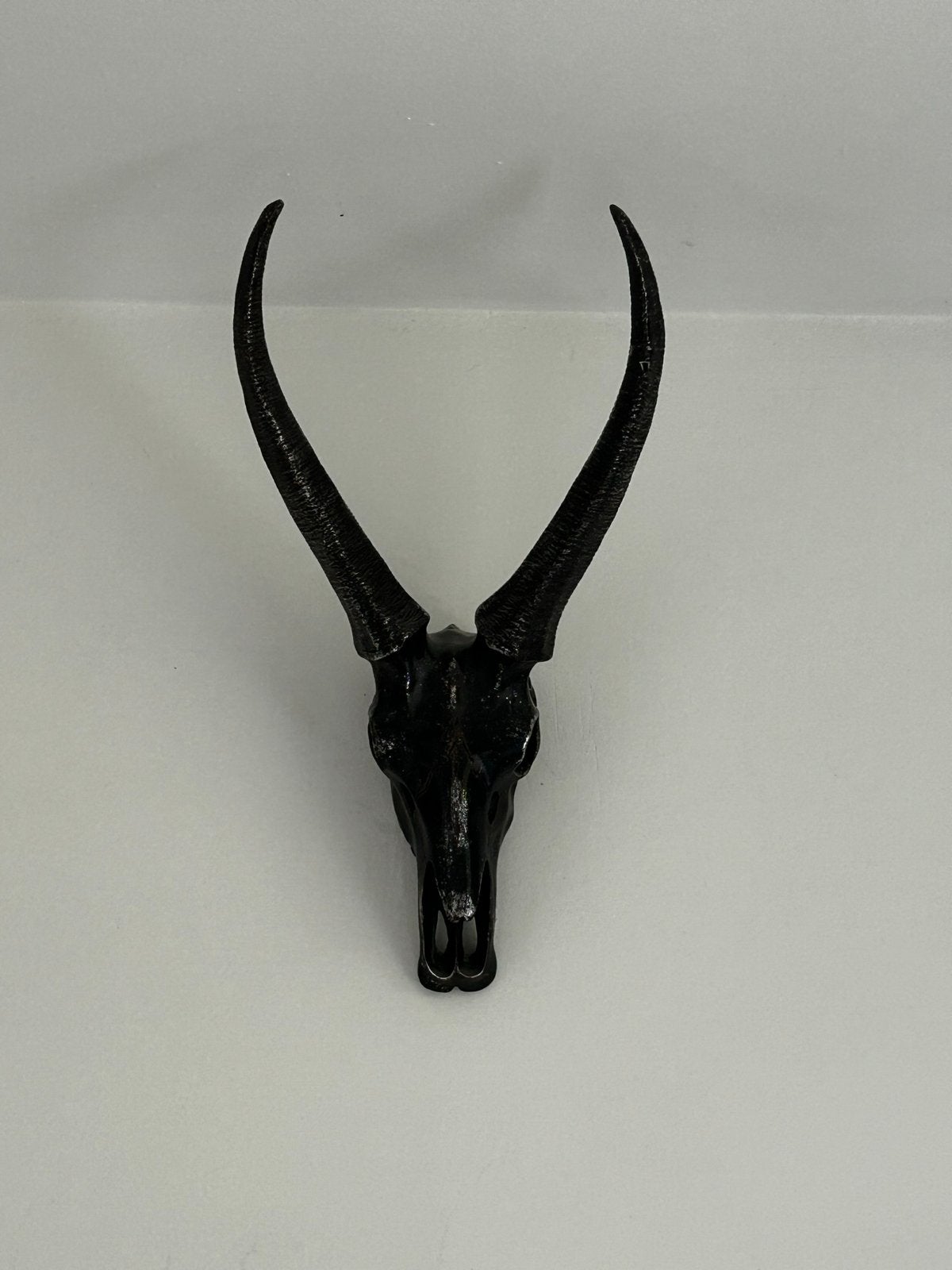 Zwarte antilope schedel (60 cm), Ophalen of Verzenden, Zo goed als nieuw