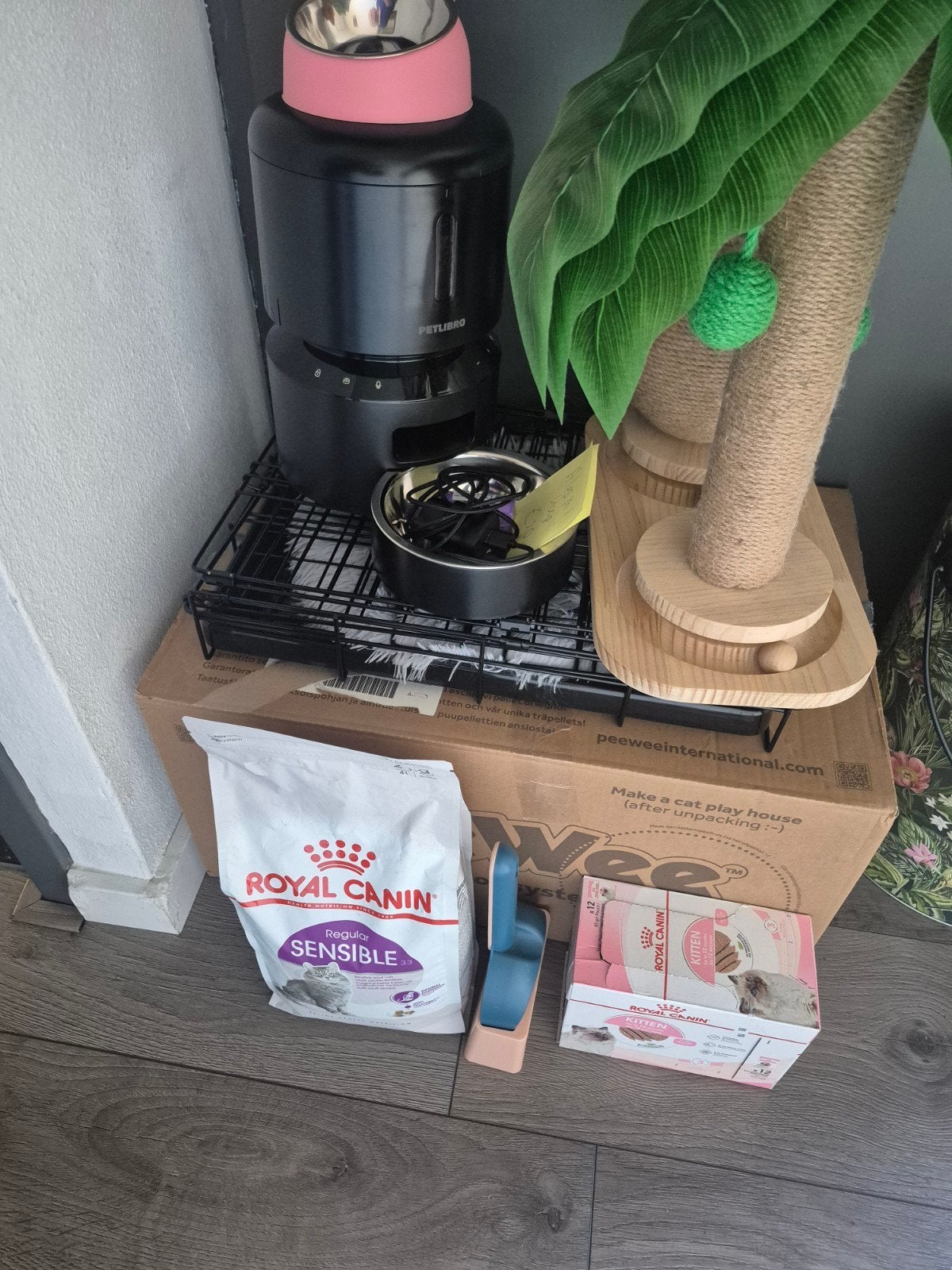 Kittenstarterset., Dieren en Toebehoren, Ophalen of Verzenden