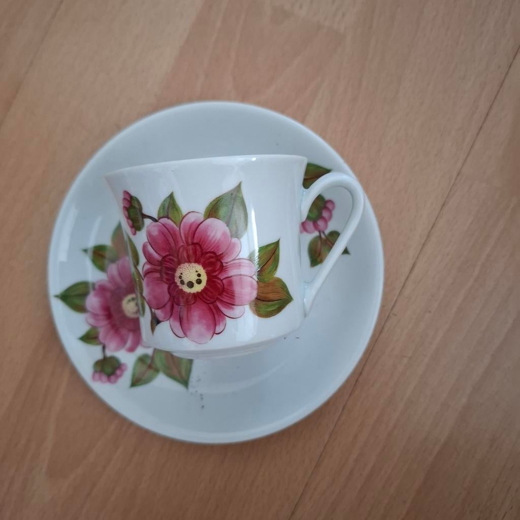 Diverse kop en schotels, Ophalen of Verzenden