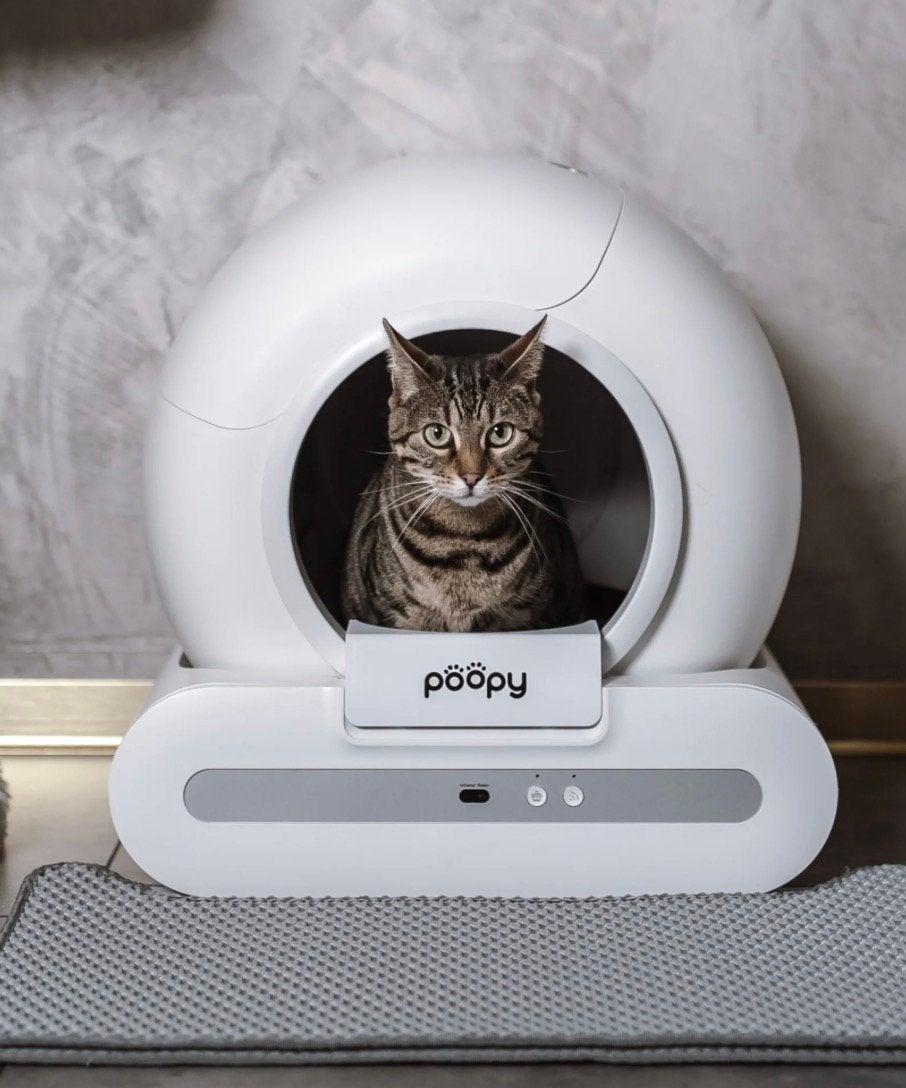 Automatische Kattenbak, Dieren en Toebehoren, Kattenbakken, Ophalen