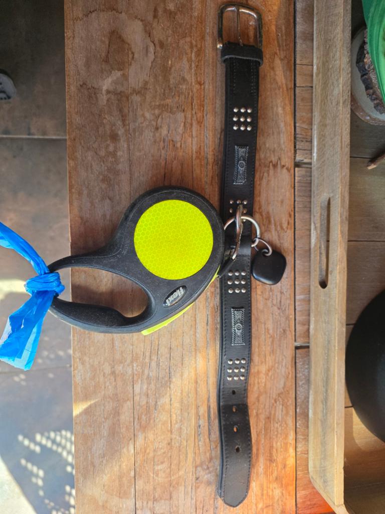 Flexi riem met echt leren brede halsband, Dieren en Toebehoren, Ophalen of Verzenden