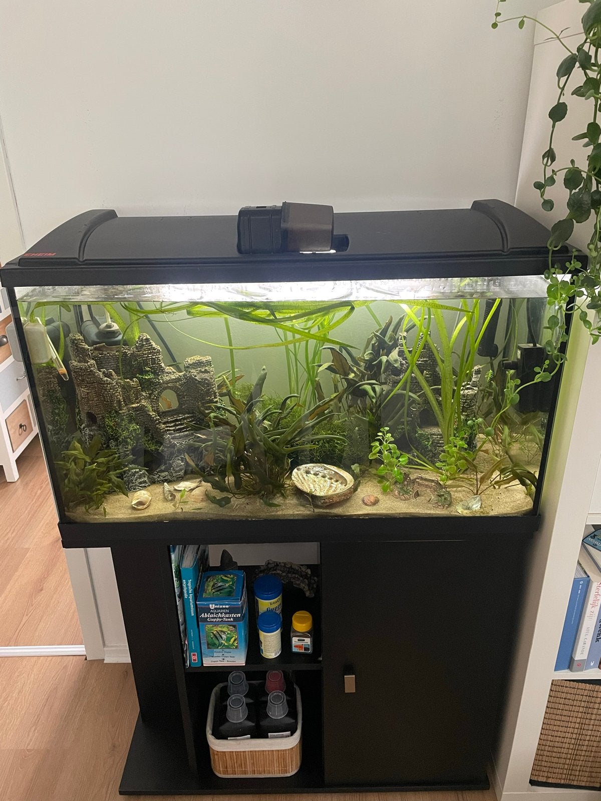 Compleet zoetwateraquarium, Ophalen, Gebruikt, Gevuld zoetwateraquarium, Inclusief deksel