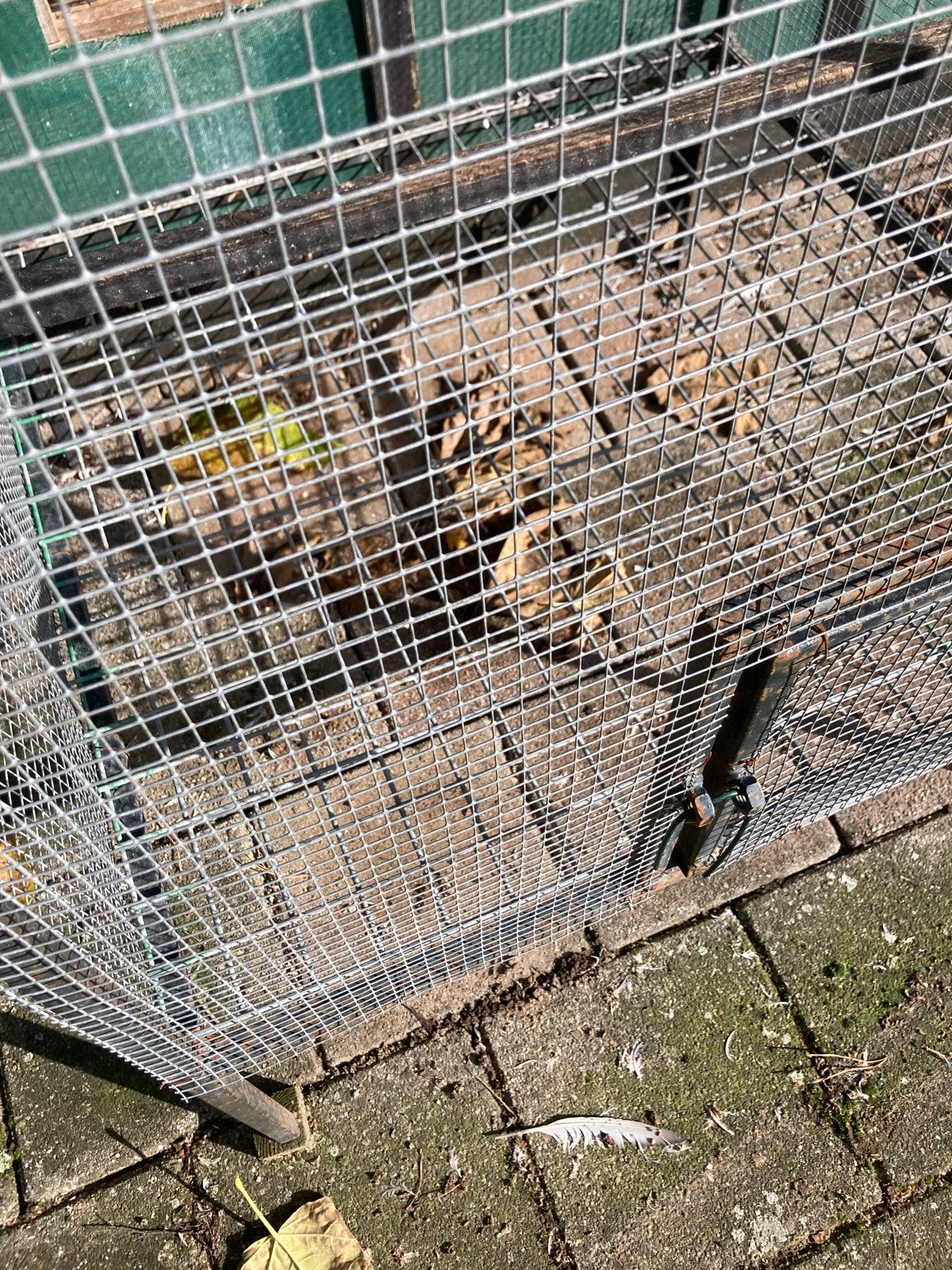 Duiven ren, Ophalen, Gebruikt, Hout