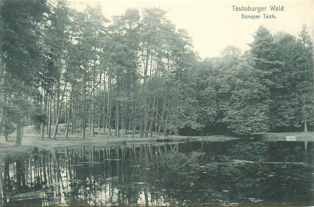 701-298-035 Teutoburger Wald Donoper Teich, Verzenden, Voor 1920, Duitsland