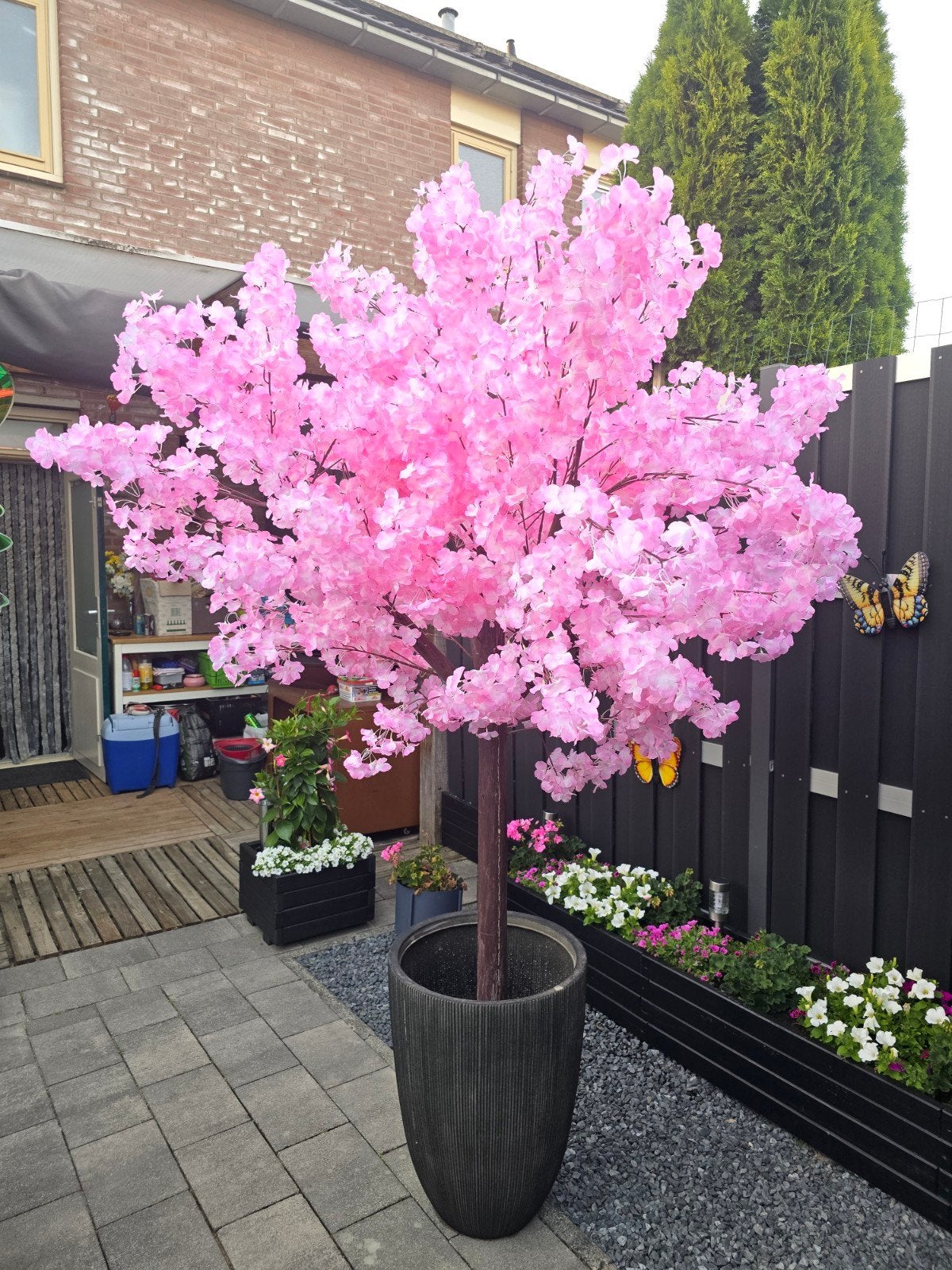 Mooie bloesemboom met pot, ca. 2.20 cm hoog, Ophalen