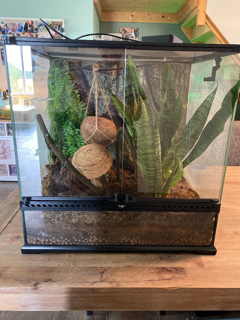 Terrarium, Dieren en Toebehoren, Reptielen en Amfibieën | Toebehoren, Ophalen, Zo goed als nieuw, Terrarium of Paludarium