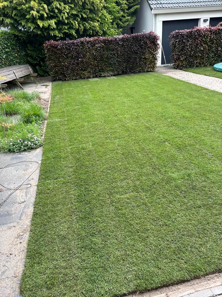 Graszoden bijma 10 M2, Ophalen, Nieuw, Minder dan 10 m², Gras