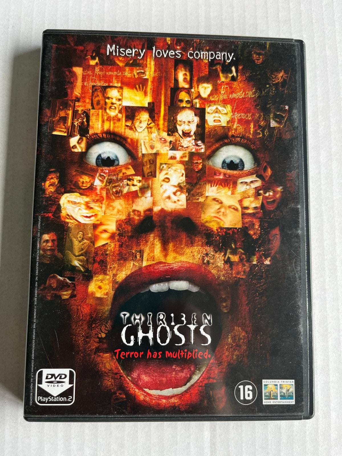 Thirteen Ghosts (2001) DVD -, Cd's en Dvd's, Dvd's | Horror, Gebruikt, Bovennatuurlijk, Bonusmateriaal, Vanaf 16 jaar, Engels