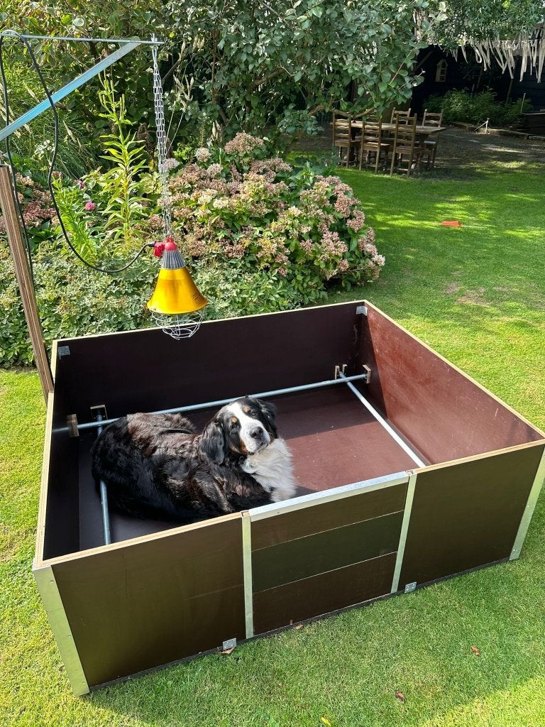 Werpkist voor grote hond, Overige merken, Ophalen, Zo goed als nieuw, Werpkist