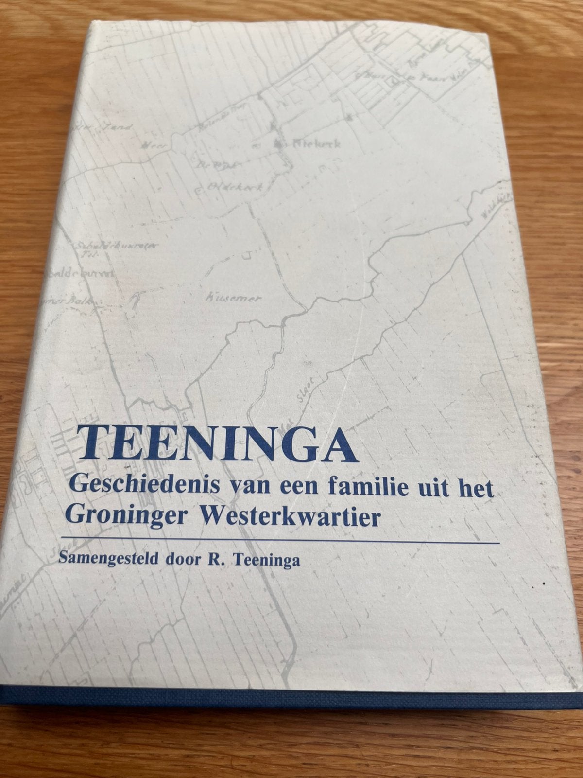 Teeninga geschiedenis van een familie uit het groninger west, Ophalen of Verzenden, Gelezen