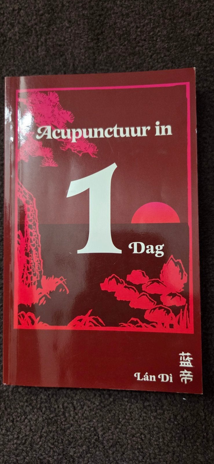 Acupunctuur in 1 Dag - Lán Dì, Ophalen of Verzenden, Zo goed als nieuw