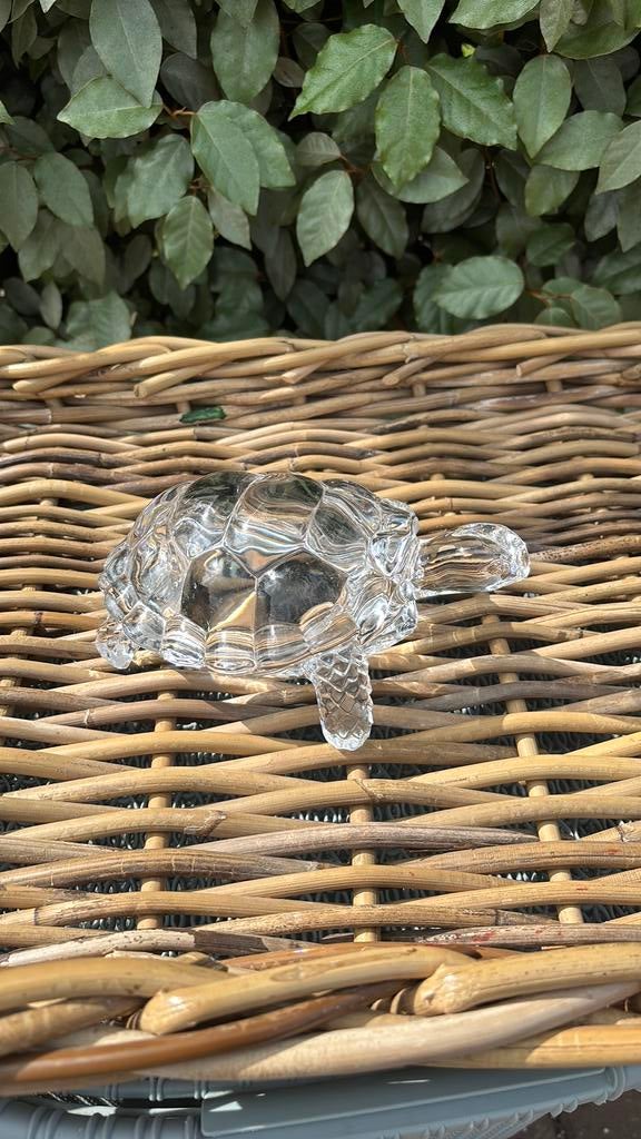Mooie glazen Schildpad, Ophalen of Verzenden, Zo goed als nieuw, Dier